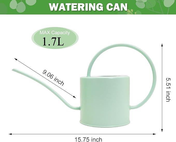 Indoor Watering Can for Houseplants-Long Spout Metal Watering Can for Indoor Plants, Succulents or Outdoor Garden Flower, 1.3L / 40 oz Mint