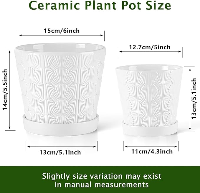 Ceramic Planter,5+6 Inch Ceramic Flower Pots with Drainage Hole&Tray,Embossed Seashell Design Plant pots,Planters for Indoor Plants Succulent Cactus,Flower Pot Home Decor-Set of 2,White