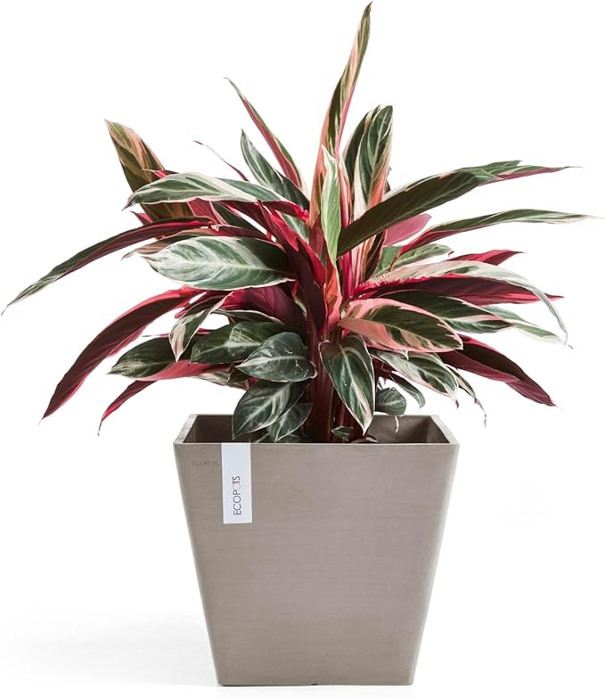 Ecopots Rotterdam Durable Modern Square Indoor/Outdoor Recycled-Based Composite Flower Planter, Taupe, 12"