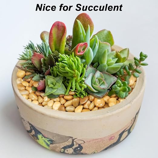 River Rocks Decorative Ornamental Pebbles Garden Landscaping Stones Gravel Filler for Home Decoration Flower Bed Fish Tank Plants Vases Succulents (1, Yellow, 5 Pounds)