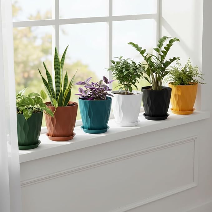 Plant Pots 8 Inch, 6 Pack Plastic Flower Pots for Indoor & Outdoor Plants, Planters with Drainage Holes and Saucer, Garden Pot for Plants (Multicolor)