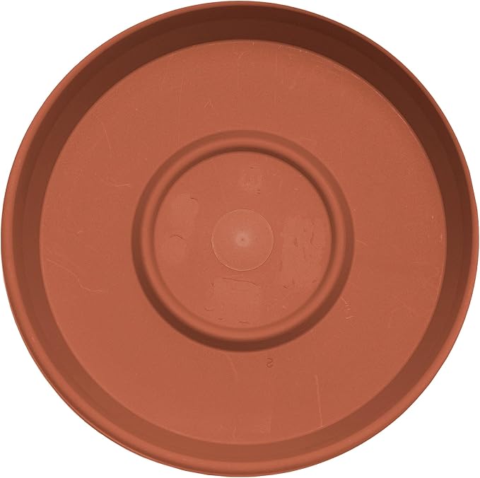 Bloem Terra Resin Saucer Tray: 4.75" Bottom Width - Terra Cotta - Matte, Durable, Ribbed Bottom, Indoor and Outdoor, Fits 6" Terra Pots