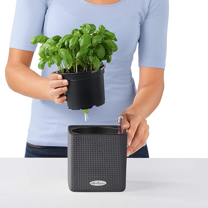 Lechuza 13384 Cube Color 14 Self-Watering Planter for Indoor and Outdoor Use, 6" x 6" x5", Slate