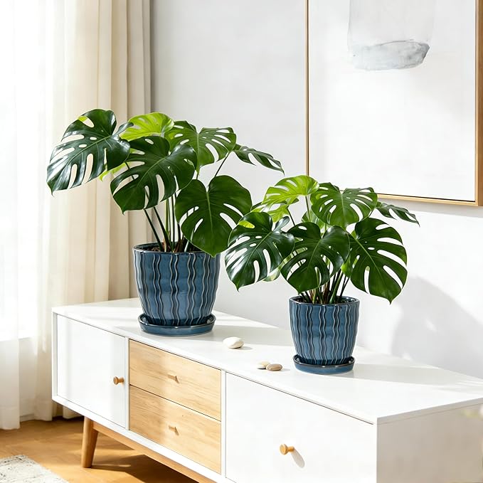 Ceramic Planter, 4.5+5.5 Inch Small Plant Pots, Flower Pots Indoor Planters with Drainage and Tray, Pot for Indoor Plants - Succulents, Snake Plant, Cactus, Aloe Vera, Herb for Home Decor(Glaze Blue)