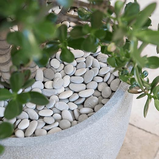 White Pebbles for Indoor Plants 2.5 LB Small River Rocks 1"-1.5" Polished Decorative Stones Smooth Aquarium Gravel for Fish Tank Vases Planters Outdoor Landscaping Garden (40oz)