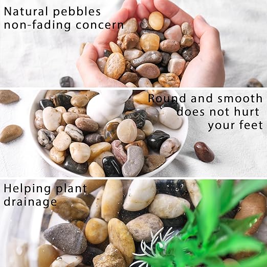 DomeStar River Rocks for Landscaping, 2lb Decorative Ornamental Pebbles Garden Landscaping Stones Gravel for Vases Fish Tank Succulent Potted Indoor Plants Crafts Home Garden Decor