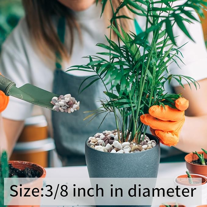 2 lbs Natural Mixed Color Pea Gravel Pebbles, 3/8 inch Decorative Rocks for Succulents, Pebbles for Indoor Plants, Vases, Aquarium Gravel, Top Dressing, Outdoor Decorative Stones