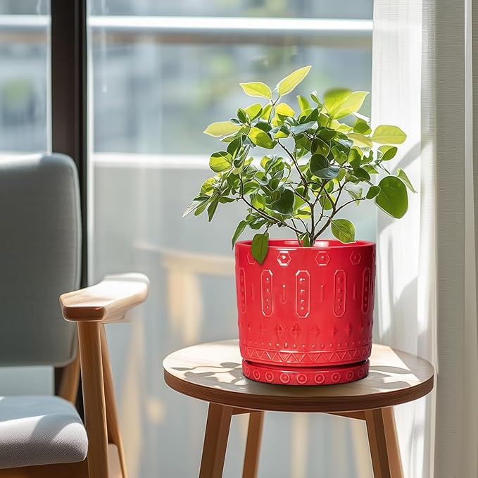 Ceramic Plant Pots, 8 Inch Plant Pots Indoor Outdoor, Round Flower Pot with Drainage Hole and Sacuer, Boho Pot for Plants, Decorative Planter, Home Room Bathroom Decor, Garden Gifts, Red