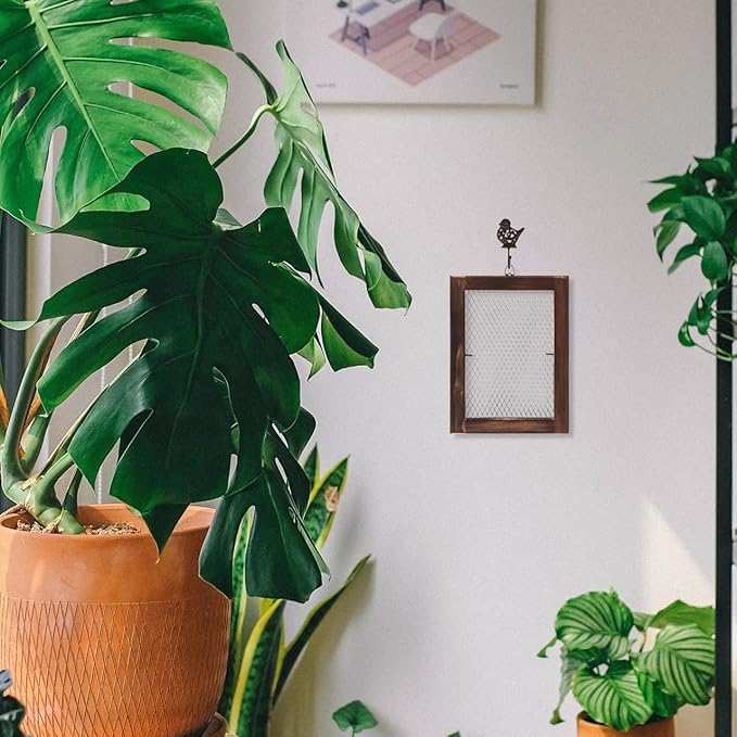 Wall Mounted Fern Hanging Board with Wire Mesh Frame Air Plant Holder Indoor Outdoor Vertical Planter for Space-Saving Garden Decor