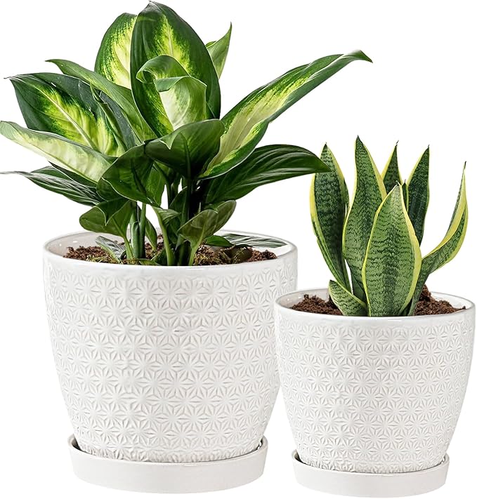 Plant Pots, Flower Pots, Planters for Indoor Plants(6.5+5.5inch), Flower Pots for Indoor Plants with Drainage Hole and Saucer, Ceramic Pots for Plant with Hole Mesh Pad,White