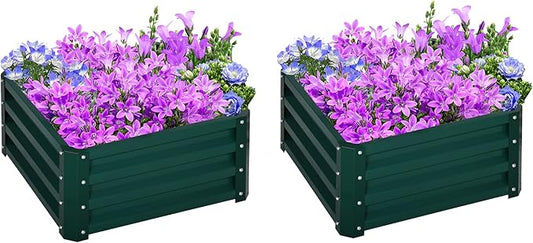 Outsunny 2 Piece Galvanized Raised Garden Bed, 2' x 2' x 1' Metal Planter Box for Growing Vegetables, Flowers, Herbs, Succulents, Green