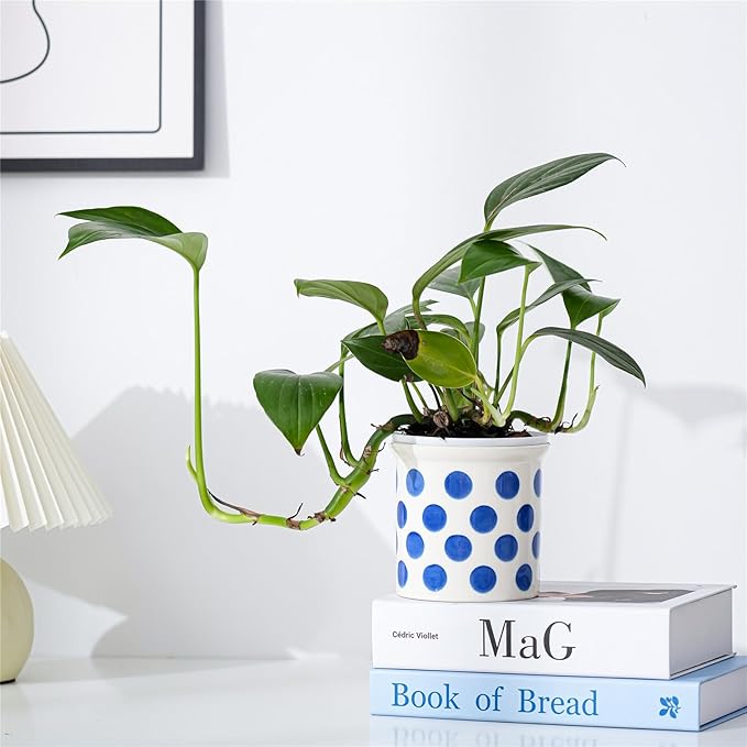 Pots of Indoor Plants 4 Inch Succulents Flower Pots Set of 2 Ceramic Planters Painted Blue Lines and Polka Dots Flower Pots with Drainage Hole for Cactus and Small Houseplants Gifts