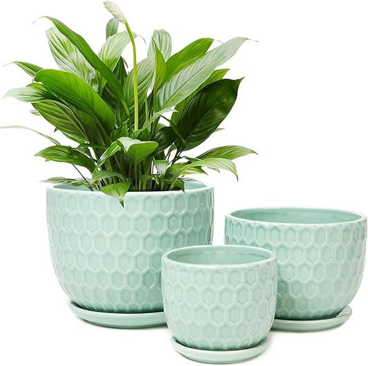 Ceramic Flower Pots with Drainage Hole and Saucer, Modern Round Succulent Planters with Honeycomb Inspired Texture Design, Small to Medium Sized, Set of 3, Green
