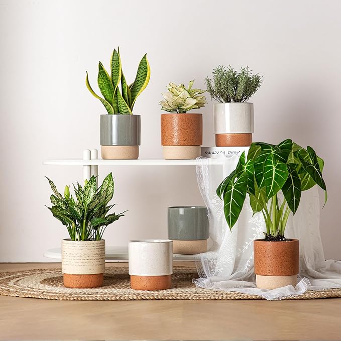 Self Watering Plant Pot: 6 Inch Ceramic Planter with Drainage Hole & Water Storage Plus - Flower Pot for Indoor & Outdoor Plants (Dark Grey, Small)