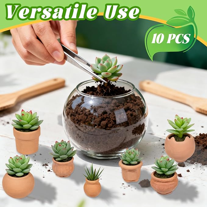 10 Pieces Mini Clay Pots Terracotta Clay Small Flower Mini House Flower Pot for Crafts DIY Garden Plants and Office Desktop