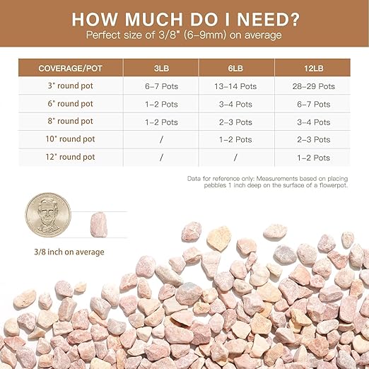 NUPICK 3 lbs Pebbles for Indoor Plants, 3/8 Inch Pea Gravel for Fish Tank, Decorative Rocks for Succulent, Natural River Stones for Vases, Cactus, Landscaping, Bird Bath, Aquarium, Peach
