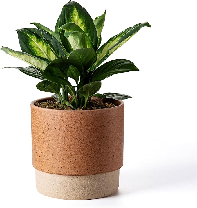 Self Watering Ceramic Planter: 8 Inch Plant Pot with Drainage Hole & Water Storage Plus for Outdoor & Indoor Plants, Succulents, Herbs - Flower Pot for Home or Office Decor - Terracotta