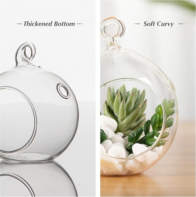 WGV Hanging Terrarium Globe, Width 2.25", Height 2.75", DIY Air Succulent Planter, Clear Glass Vase Orb with Flat Bottom, Candle Holder for Windowsill Outdoor Garden Decor, 6 Pieces Bulk
