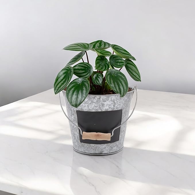 Hosley Set of 2 Metal Pail with Chalkboard and Plastic Liner 7" Dia x 6" H. Ideal Gift for Floral Arrangements Wedding House Warming Floral Planter DIY Craft Home Office Party Garden Patio