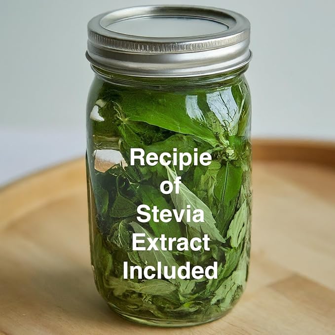 Natural Herbal Live Zero Calorie Sugar Replacement. Stevia Plants. Sweet Leaf, Sugar Leaf, Natural Sugar Substitute Herb, Easy to Grow (4 stevia Cups)