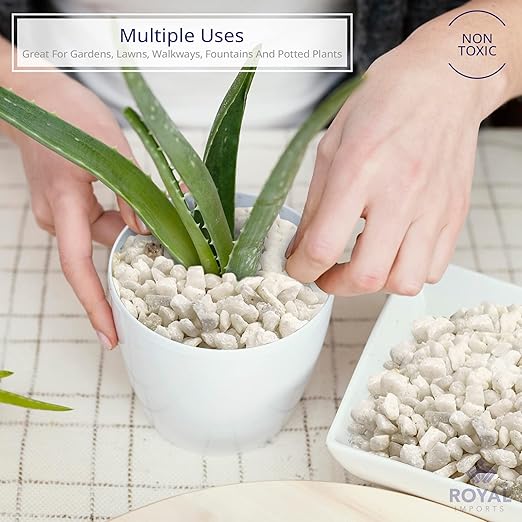 River Rocks Decorative Ornamental Vase Filler Aquarium Gravel White, Mini 5 lbs - Landscaping Pebbles for Indoor Plants, Fish Tank Gravel, Terrarium & Home Decor, DIY & Crafting – Royal Imports