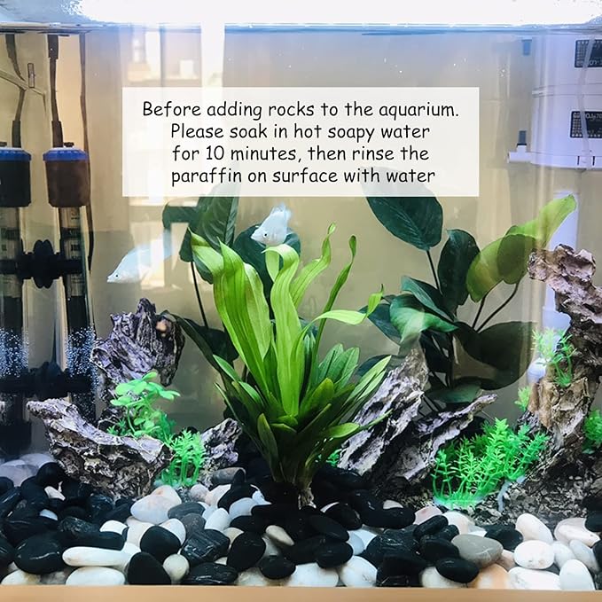 10 lbs Pebbles for Outdoor Landscaping, 1-2 inch Black River Rocks for Plants Indoor, Decorative Black Stones for Planters Vase Aquarium Rocks and Garden Rocks