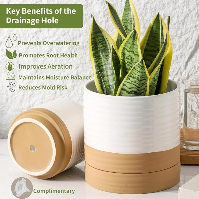 HASENSE Ceramic Plant Pots Indoor Outdoor, 6 Inch Pot for Plants with Drainage Hole and Saucer, White Modern Flower Planter for Housewarming Gift