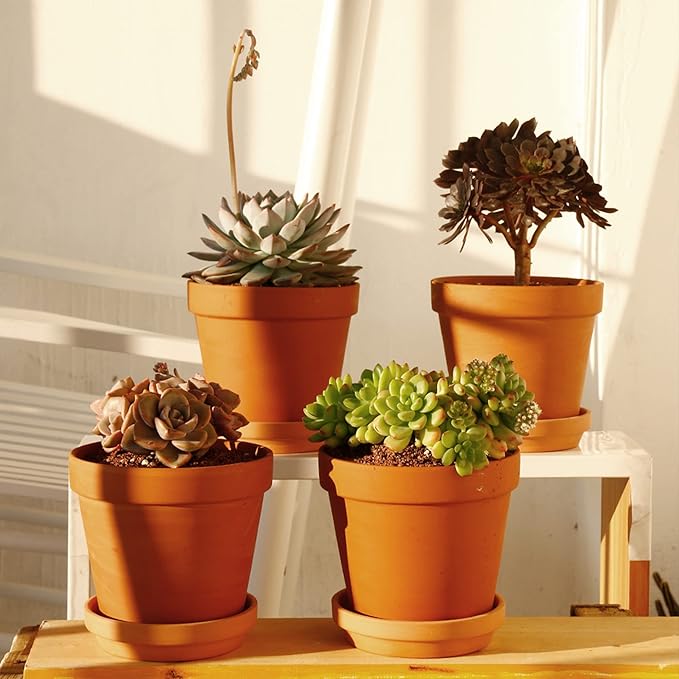 Yishang Large Terra Cotta Pots with Saucer- 6 Pack Large 6'' Terra Cotta Plant Pot with Drainage Hole, Flower Pot with Tray, Terracotta Pot for Indoor Outdoor Plant