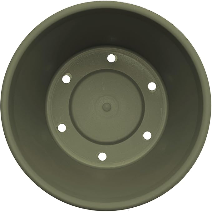 Bloem Terra 6" Diameter Round Living Green Resin Planter Pot with Drainage Holes for Indoor and Outdoor Gardening