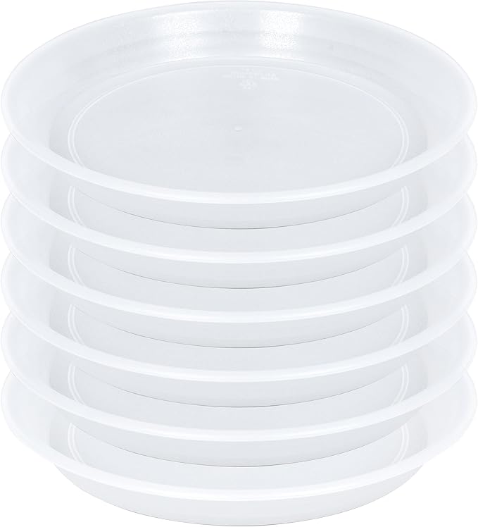 6 Pack Clear Plant Saucer Drip Tray 11 12 inch, Pot Base for Plants Indoor, Plastic Flower Planter Saucers and Drip Trays for, Heavy Durable Plant Plate Water Catcher (12", Clear)