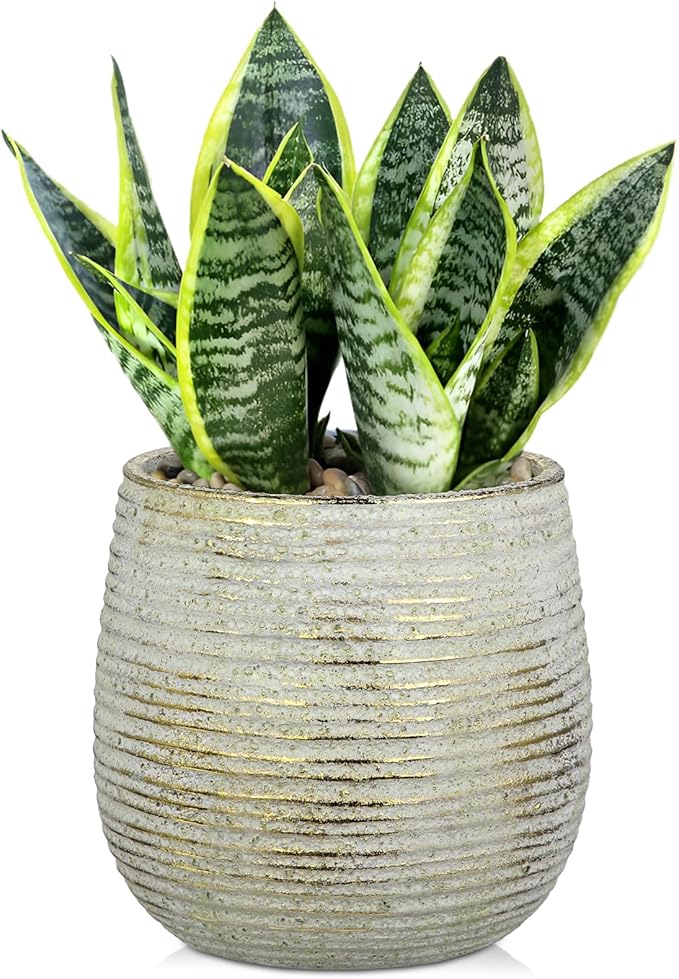 DILATATA Ceramic Pots with Drainage Hole 6.7 Inch Flower Plant Pot Indoor Round Planter Pot for Succulents, Cacti, Cactus, Snake Plants Home Decor - Gold