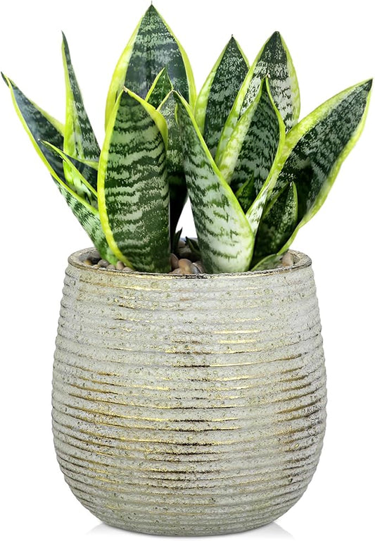 DILATATA Ceramic Pots with Drainage Hole 6.7 Inch Flower Plant Pot Indoor Round Planter Pot for Succulents, Cacti, Cactus, Snake Plants Home Decor - Gold
