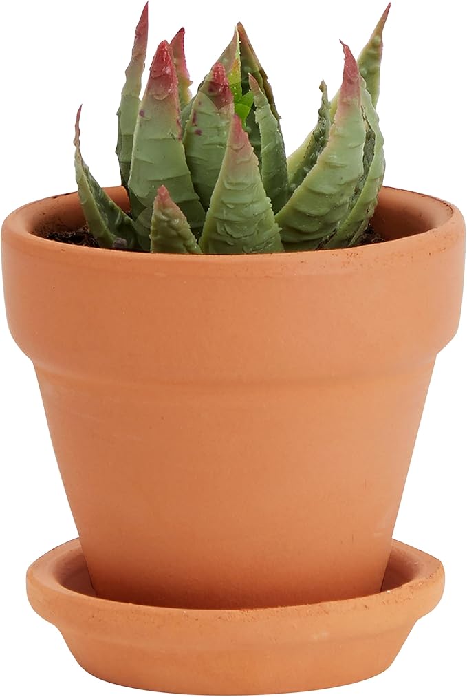 Juvale Mini Terracotta Pots with Saucers - 2.2 x 2.2 x 1.9 in, Brown, 16-Pack, Rustic - Succulent & Cactus Pots with Drainage Hole & Plant Saucer for Garden Decor