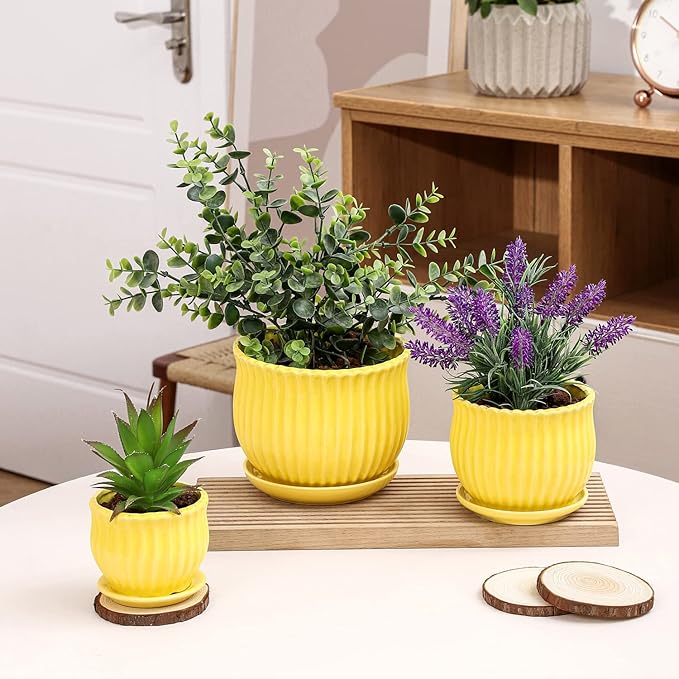 Yellow Ceramic Flower Pots with Saucers, Modern Round Ceramic Succulent Plant Pots with Stripe Texture, Small to Medium Sized, Set of 3