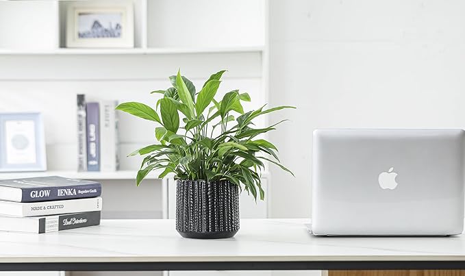 Arktiva Ceramic Planter Pot with Drainage Hole, 5 Inch Dia, Indoor and Outdoor, Home Patio Garden, Plants Flower Succulent, Textured Round (Black)