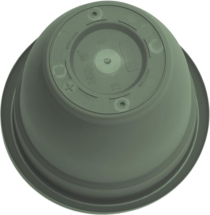 Bloem Ariana 6" Basil Round Self-Watering Resin Planter Pot - Rolled Rim Indoor and Outdoor Gardening Planter