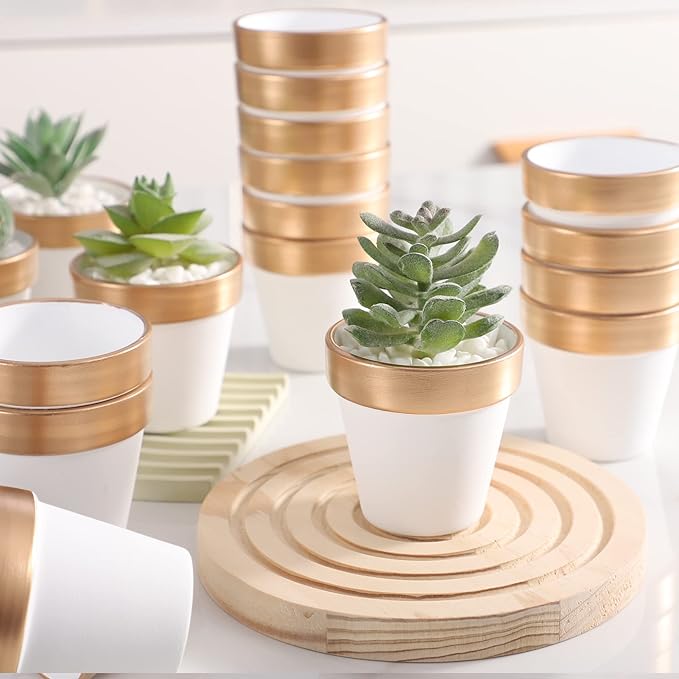 12 PCS Small Mini White Gold Clay Pots with Drainage Holes, 2.5inch Terra Cotta Pot Clay Ceramic Pottery Planter,Succulent Nursery Pot/Cactus Plant Pot,for Indoor/Outdoor Plants,Crafts,Wedding Favor