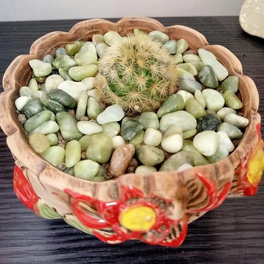 10LB Jade Pebbles for Landscaping, 0.7-1.2 Inch Natural Decorative Stones, Polished River Rocks for Succulent,Planters, Landscaping, Vase, Flowerpot, Indoor Plants and Outdoor Garden Decoration