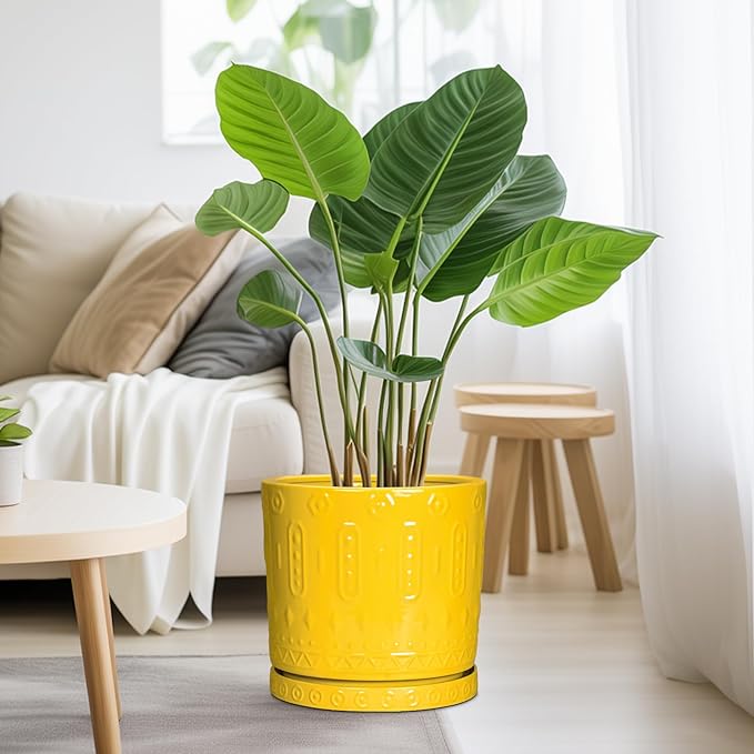 Ceramic Pots for Plants, 10 Inch Plant Pot with Drainage Holes and Tray, Round Planter for Indoor Outdoor Plants, Modern Decorative Flower Pots, Office Decor, Birthday Gift for Women, Yellow