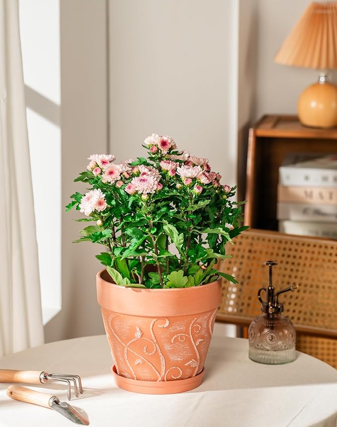 Melphoe Plant Pots Indoor with Drainage & Saucer, 2Pack 8 inch Flower Pots Outdoor Planters for Indoor Plants Garden Home Decor Cactus Succulent, Rigid Plastic (Imitation-Terracotta) Vine-Embossed