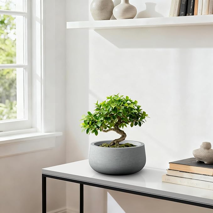 Kante 15.7" Dia Round Concrete Planter, Outdoor Indoor Garden Plant Pots with Drainage Hole and Rubber Plug, Modern Curvaceous Design, Natural Concrete