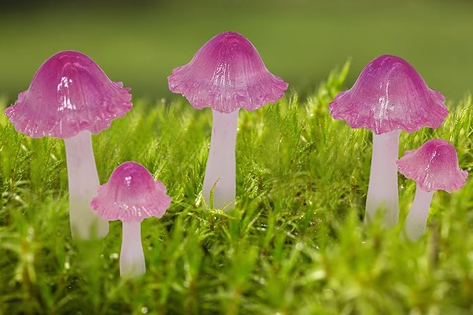 Mini Mushroom Figurines, Tiny Mushrooms Miniature Mushrooms Fairy Garden Accessories Terrarium Decor Micro Resin Mushroom Fairy Garden Decor Mushrooms with Stakes Translucent Pink 5PCs