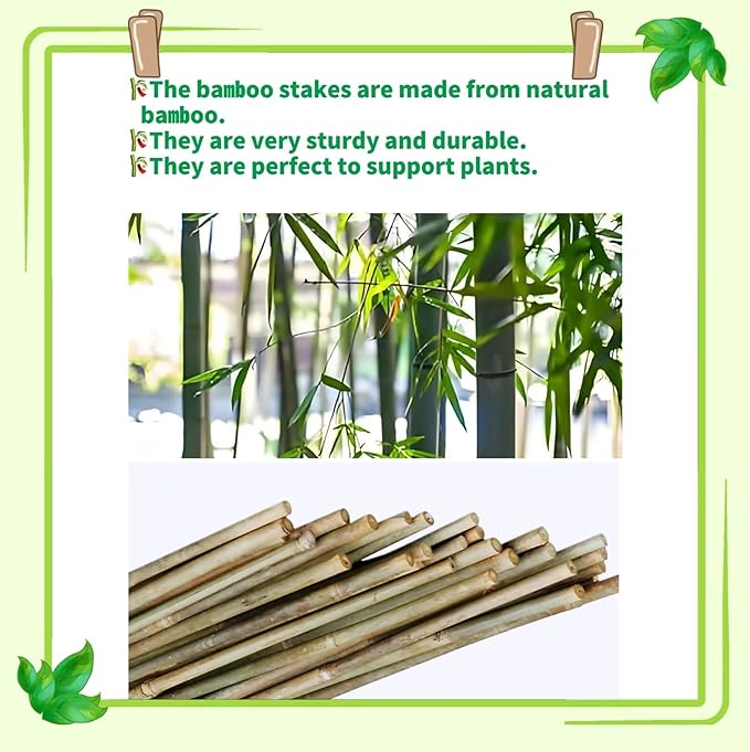 50Pcs Plant Stakes, 4.0 FT Natural Bamboo Garden Stakes, Plant Support Stakes,Bamboo Sticks for Tomato,Beans, Flowers, Vegetable and Climbing Plants
