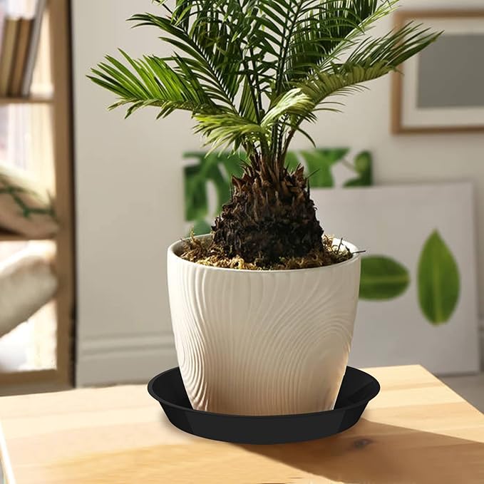 6 Pack Plant Saucer 4 6 8 10 12 14 16 18 20 22 Inch Plastic Plant Tray, Sturdy and Durable Flower Pot Container Accessories Plant Pot Saucers for Indoor and Outdoor (14 Inch, Black)