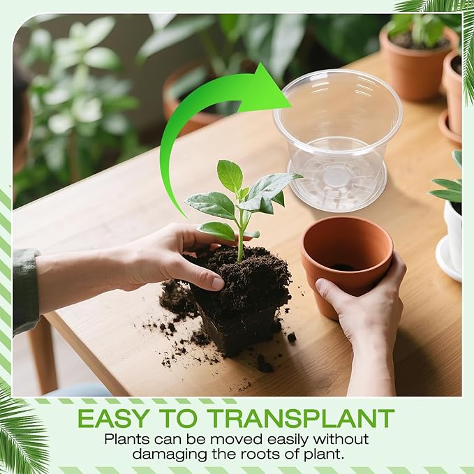 6 Inch Clear Nursery Pots with Drainage Trays, 15 Pack Plastic Pots for Plants, Clear Pot for Seed Starting, Transplanting, Succulents, and Indoor Gardening (6 inch)