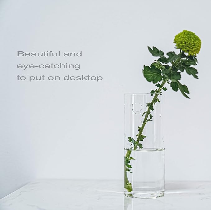 2 Pack Wall Hanging Planters Glass Terrariums - Cylindrical Plants Holders Air Plants Succulents Planters Flowers Glass Wall Vase Containers for Decor Indoor Garden