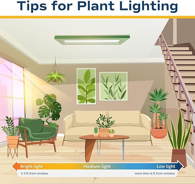 Costa Farms Live Indoor Plant Pack in Plastic Pots, Easy to Maintain, Air Purifying Indoor Houseplants, Assorted Varieties, Room or Office Decor, House Warming Gift, 8-12 Inches Tall, Pack of 4