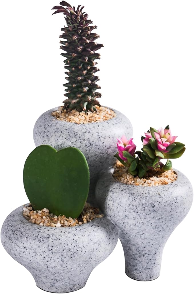 Gray Granite Textures 3-in-1 Small Succulent Pots, Mini Indoor Succulent Planters, Cute Cactus Bonsai Flowers Pots for Plants, Garden Mini Cactus Plant Pot Modern Decorative, Gift, Breathable Planter