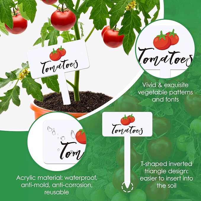 30 Pcs Acrylic Vegetable Labels Signs Waterproof Plant Marker Garden Stake Tags with Vegetable Name 15 Styles T-Type Markers Reusable for Nursery Indoor Outdoor Spring Garden Decoration