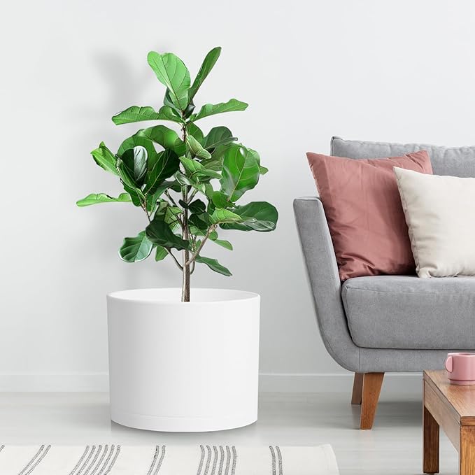 Large Plant Pots Set of 3 – 8", 9", 10" Indoor Flower Pots with Drainage Holes and Saucers, Big Planters for Monstera, Fiddle Leaf Fig, Snake Plant – 5 Colors